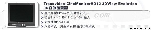 立体监视器